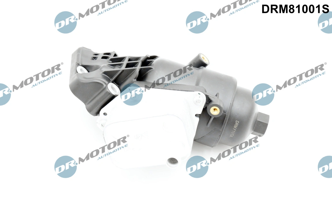 DR MOTOR DRM81001S