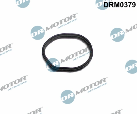 DR MOTOR DRM0379