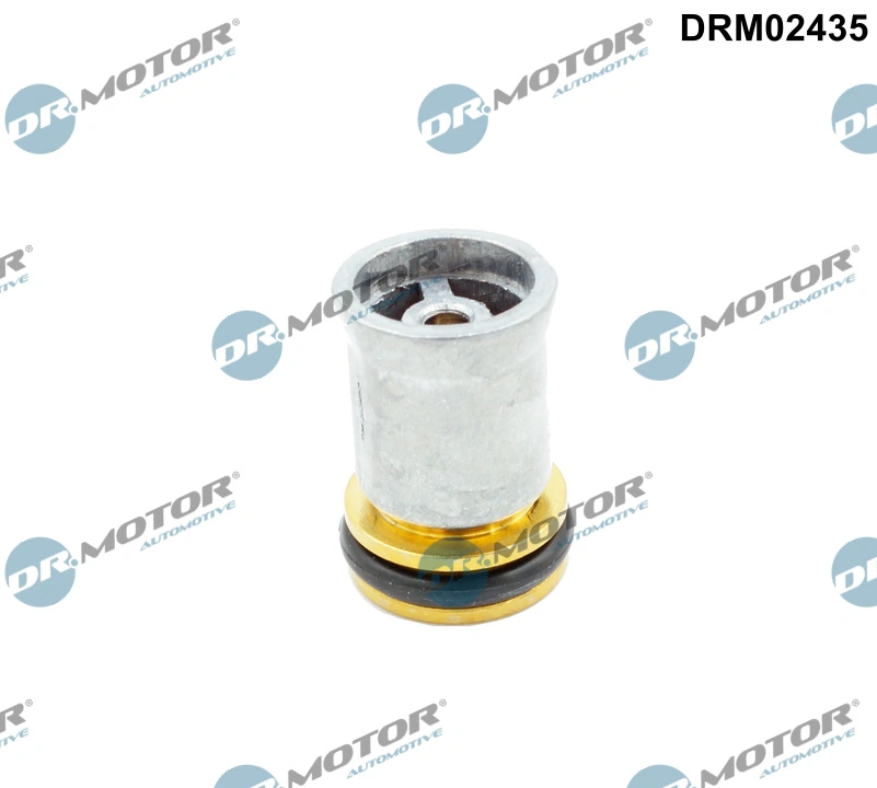 DR MOTOR DRM02435