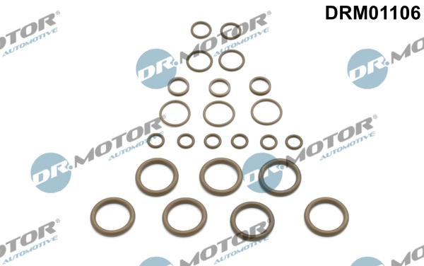 DR MOTOR DRM01106