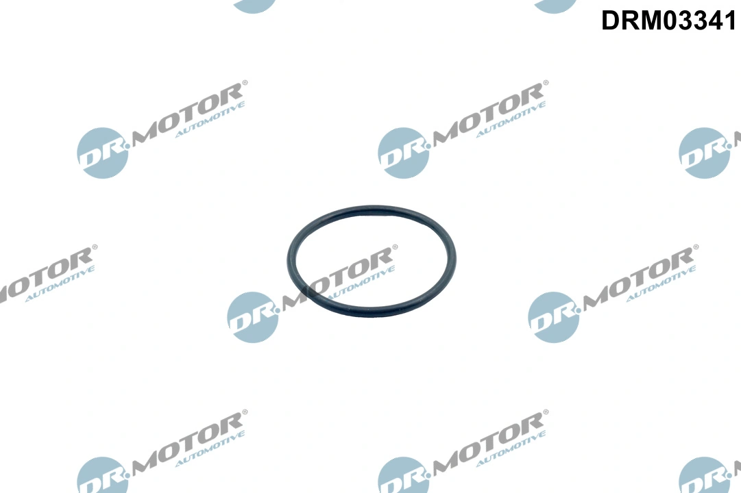 DR MOTOR DRM03341