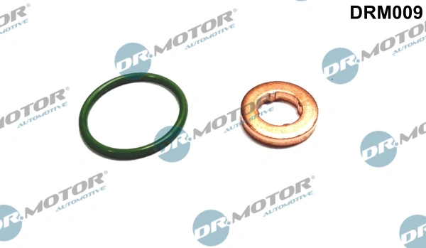 DR MOTOR DRM009