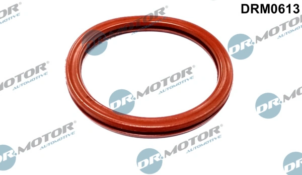 DR MOTOR DRM0613