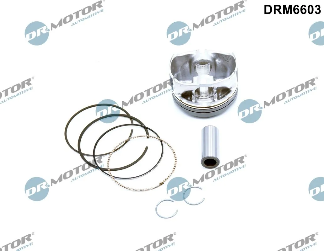 DR MOTOR DRM6603