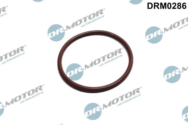 DR MOTOR DRM0286