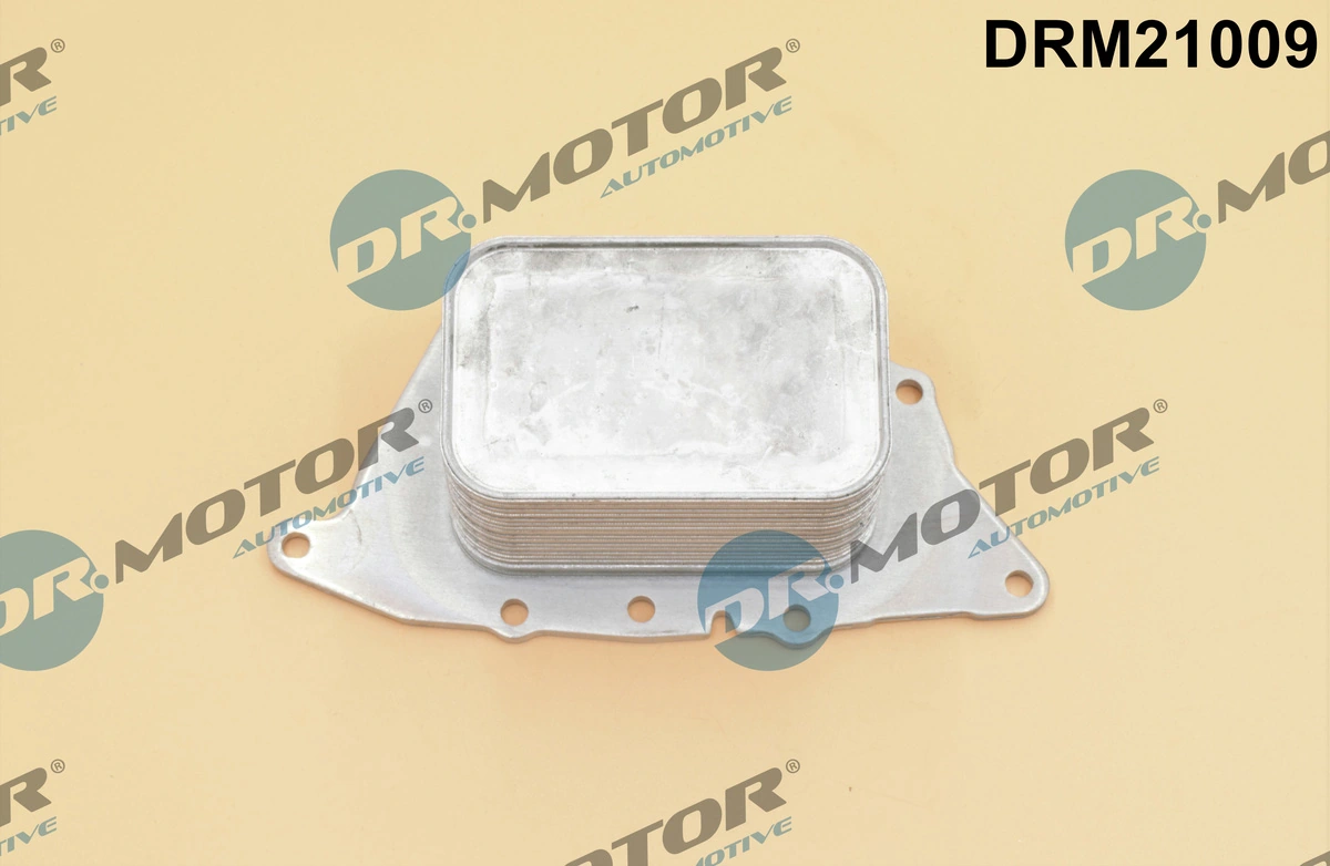 DR MOTOR DRM21009