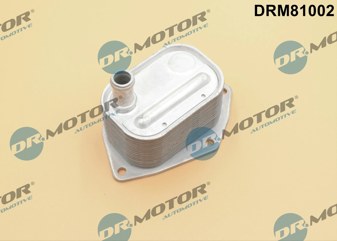 DR MOTOR DRM81002