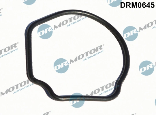 DR MOTOR DRM0645