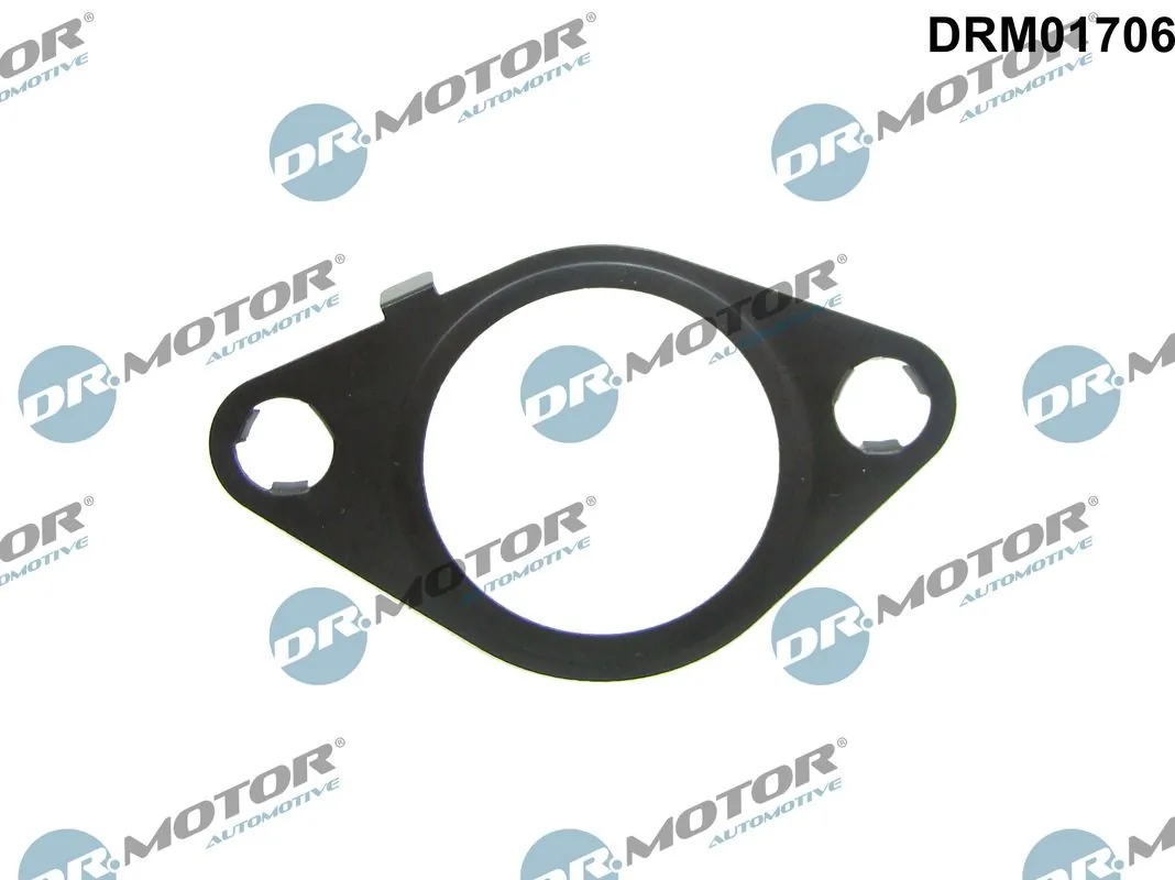 DR MOTOR DRM01706