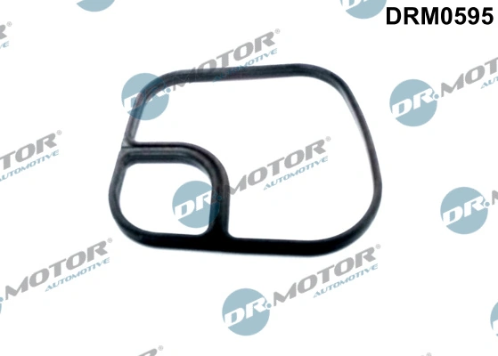 DR MOTOR DRM0595