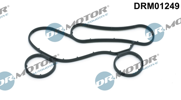 DR MOTOR DRM01249