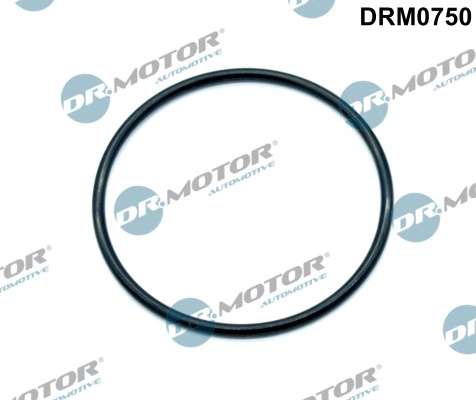 DR MOTOR DRM0750