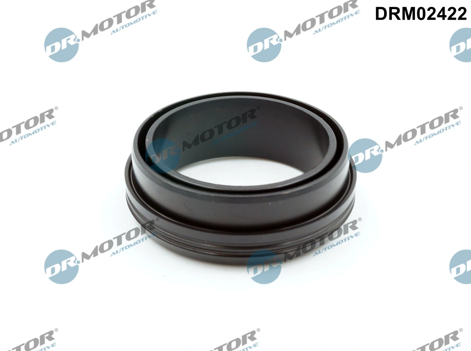 DR MOTOR DRM02422