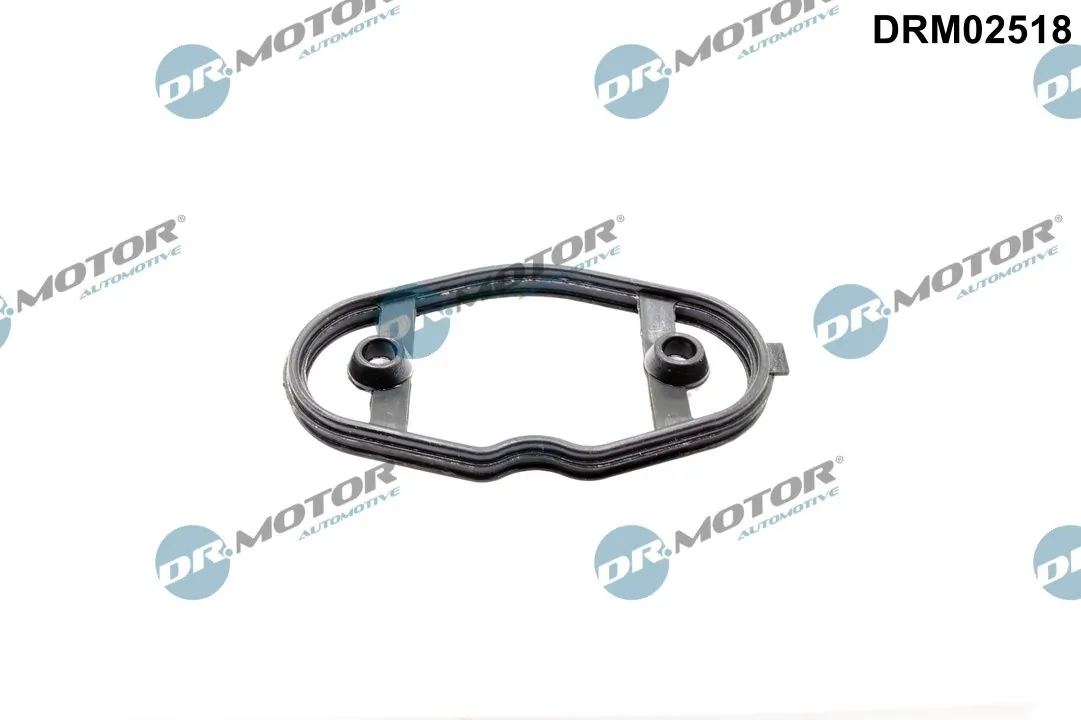 DR MOTOR DRM02518