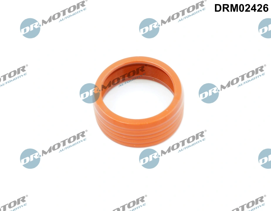 DR MOTOR DRM02426