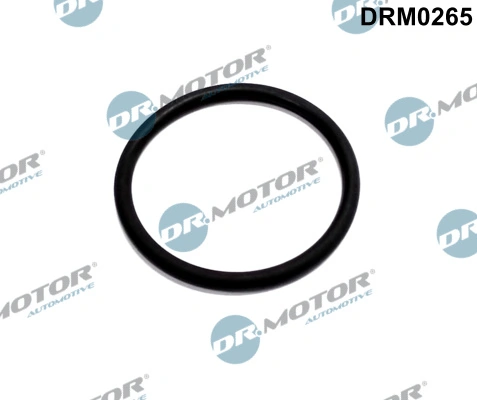 DR MOTOR DRM0265