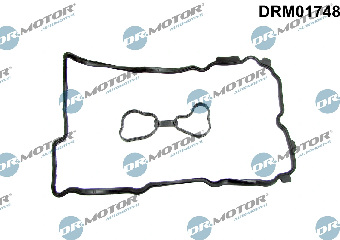 DR MOTOR DRM01748