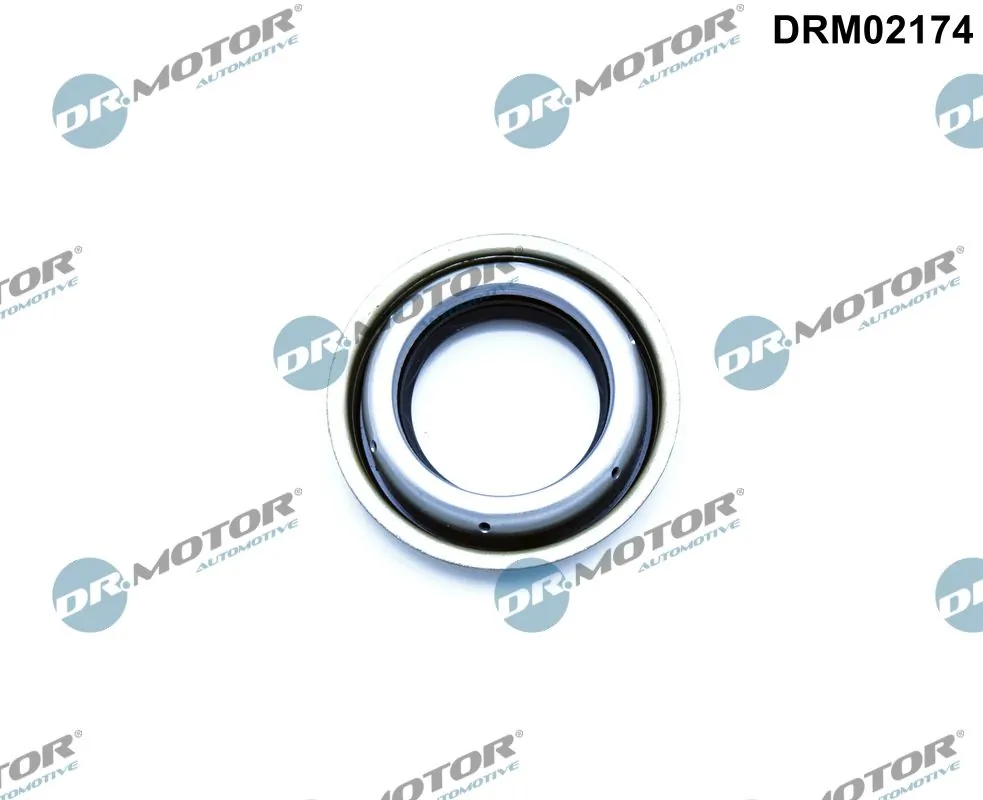 DR MOTOR DRM02174