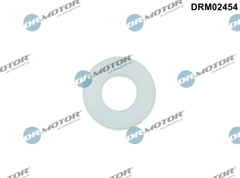 DR MOTOR DRM02454