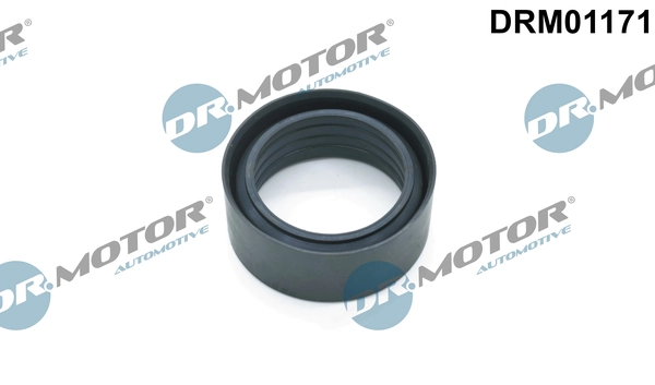 DR MOTOR DRM01171