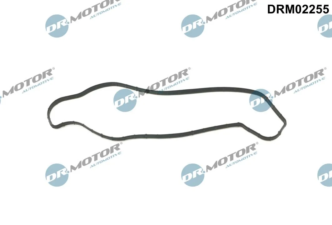 DR MOTOR DRM02255