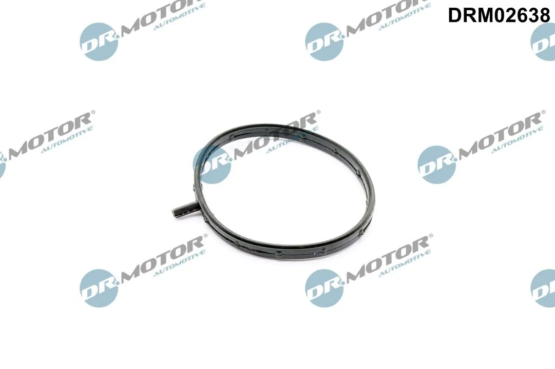 DR MOTOR DRM02638