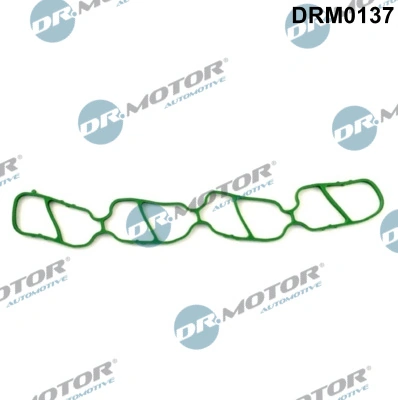 DR MOTOR DRM0137