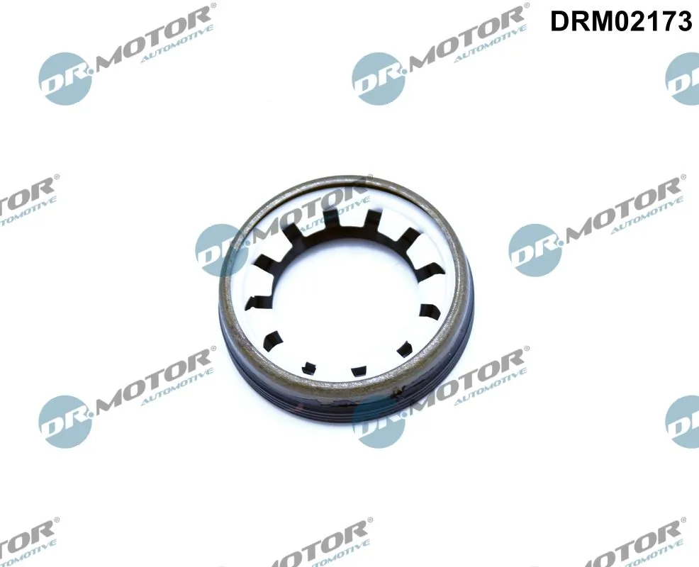 DR MOTOR DRM02173