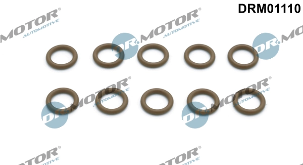 DR MOTOR DRM01110