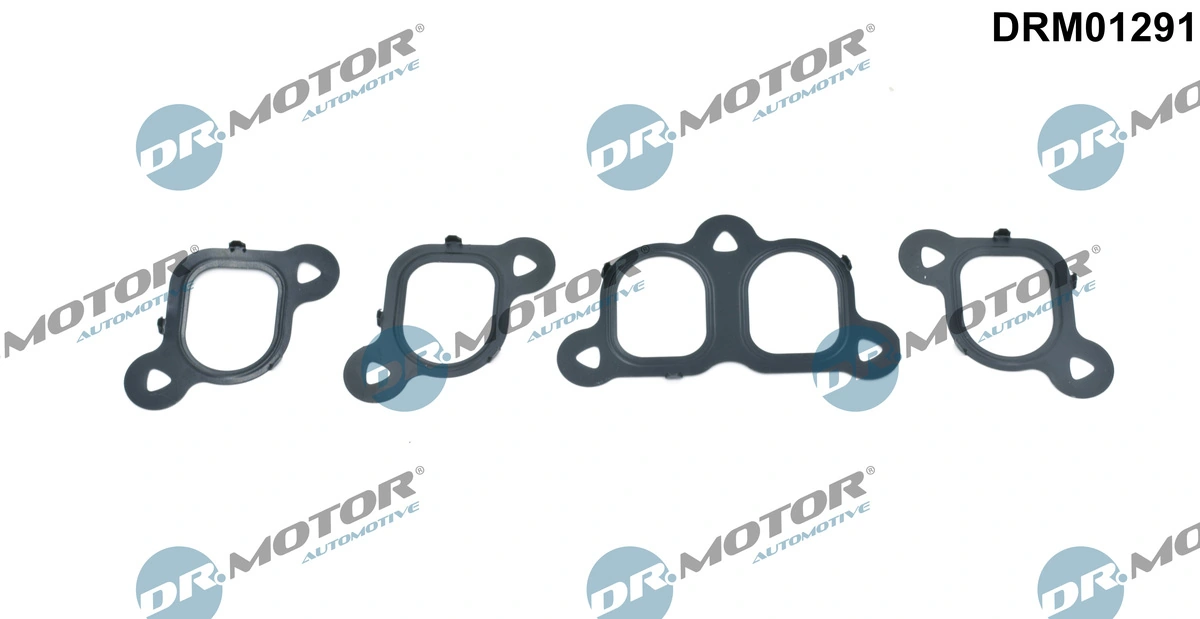 DR MOTOR DRM01291