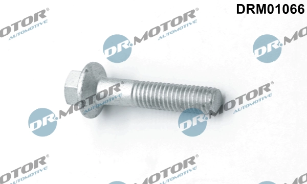 DR MOTOR DRM01066