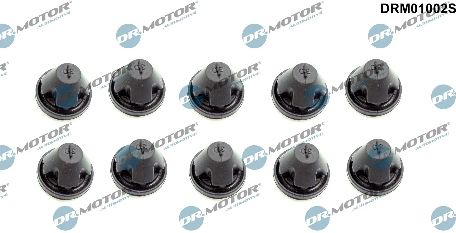 DR MOTOR DRM01002S