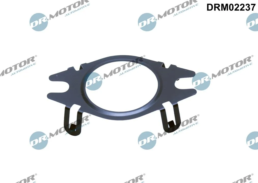 DR MOTOR DRM02237