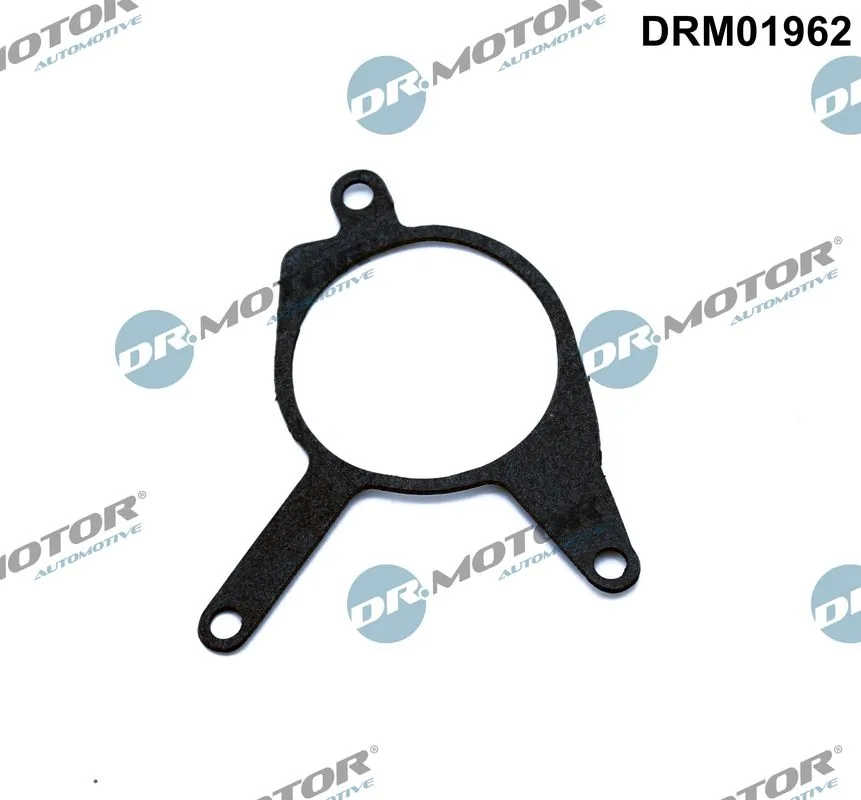 DR MOTOR DRM01962