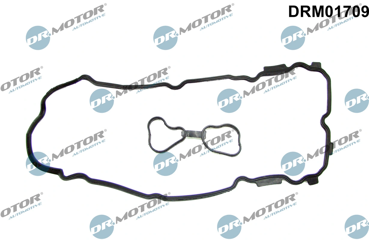 DR MOTOR DRM01709
