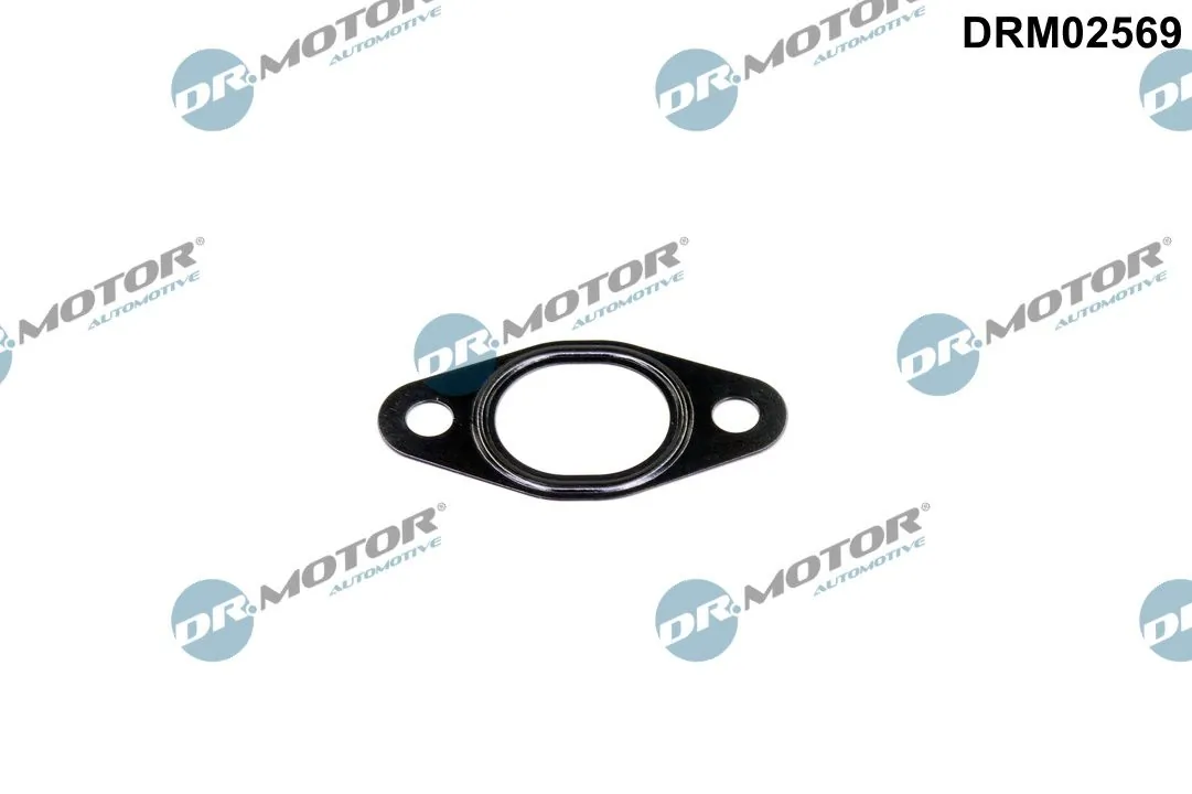 DR MOTOR DRM02569