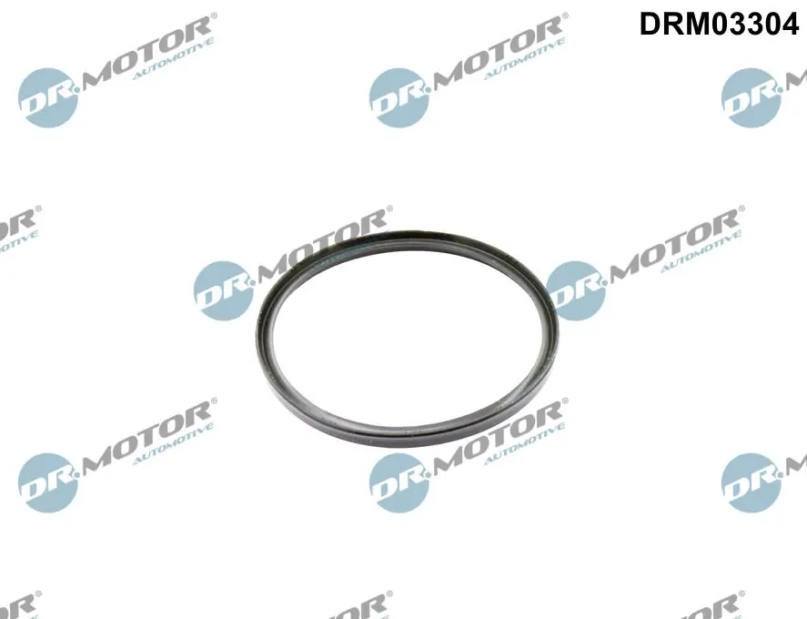 DR MOTOR DRM03304