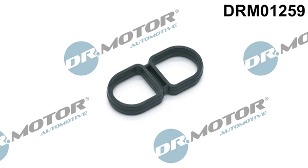 DR MOTOR DRM01259