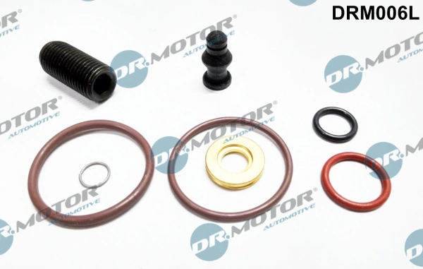 DR MOTOR DRM006L