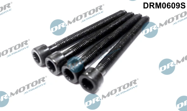 DR MOTOR DRM0609S