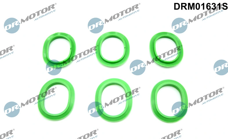 DR MOTOR DRM01631S