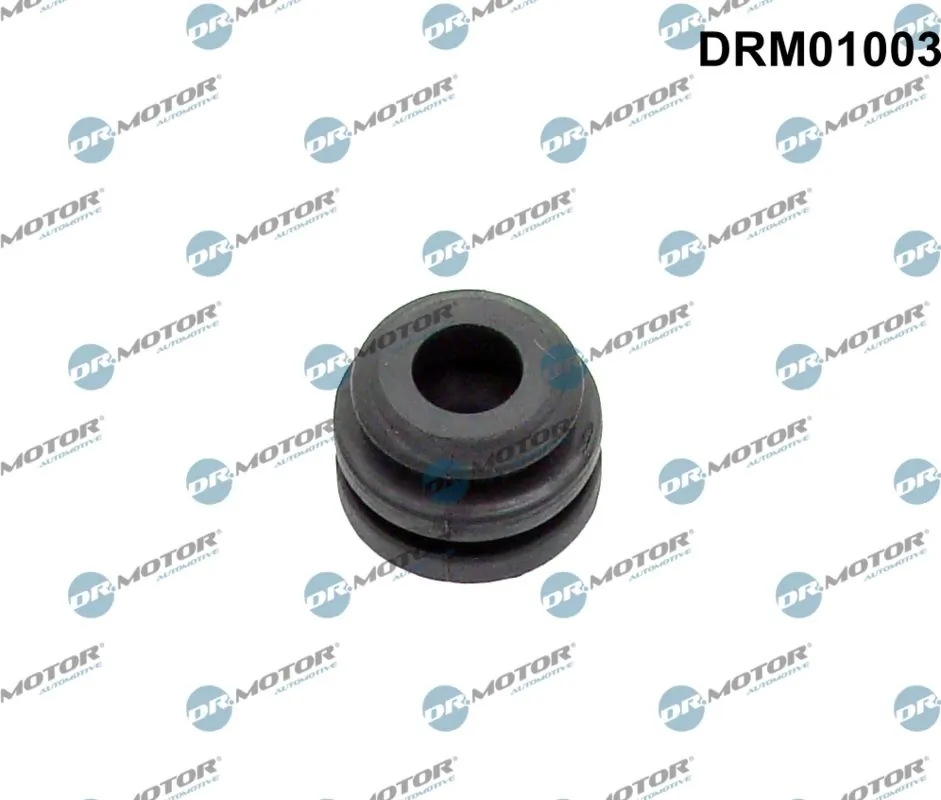 DR MOTOR DRM01003
