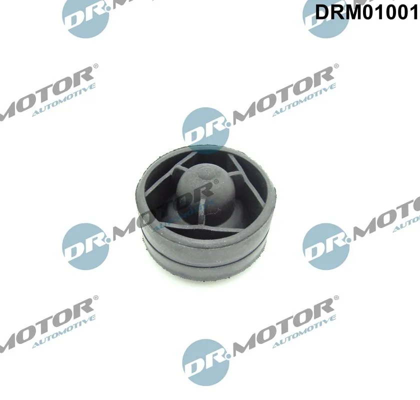 DR MOTOR DRM01001