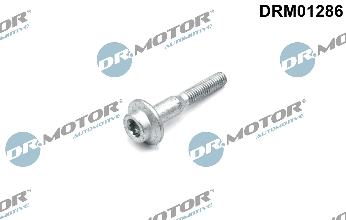 DR MOTOR DRM01286