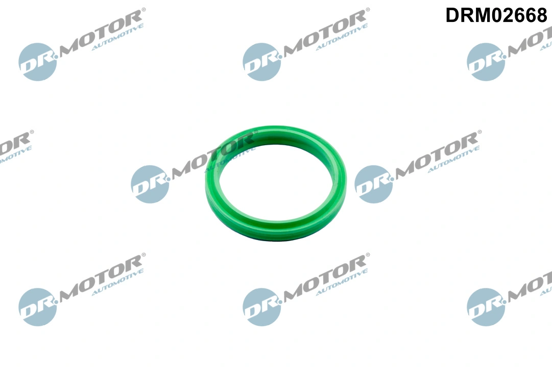 DR MOTOR DRM02668