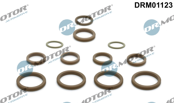 DR MOTOR DRM01123