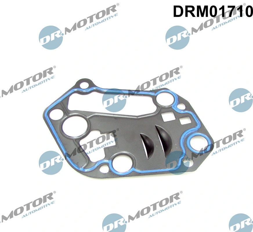DR MOTOR DRM01710