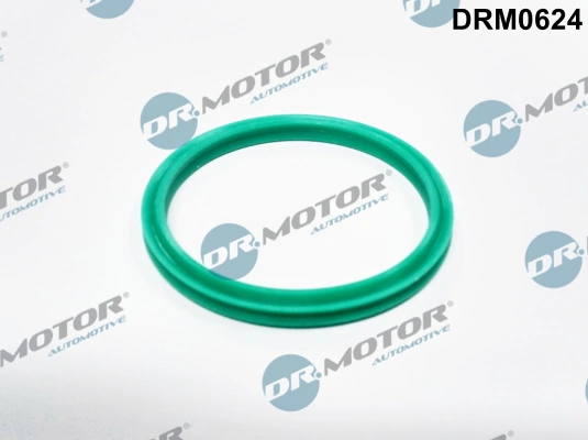 DR MOTOR DRM0624