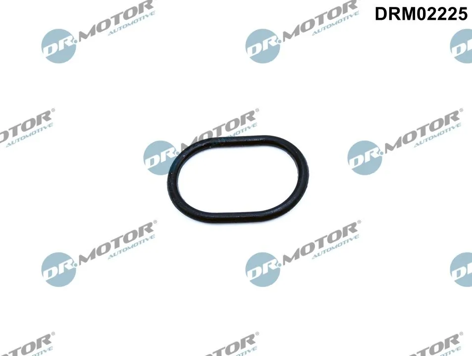 DR MOTOR DRM02225