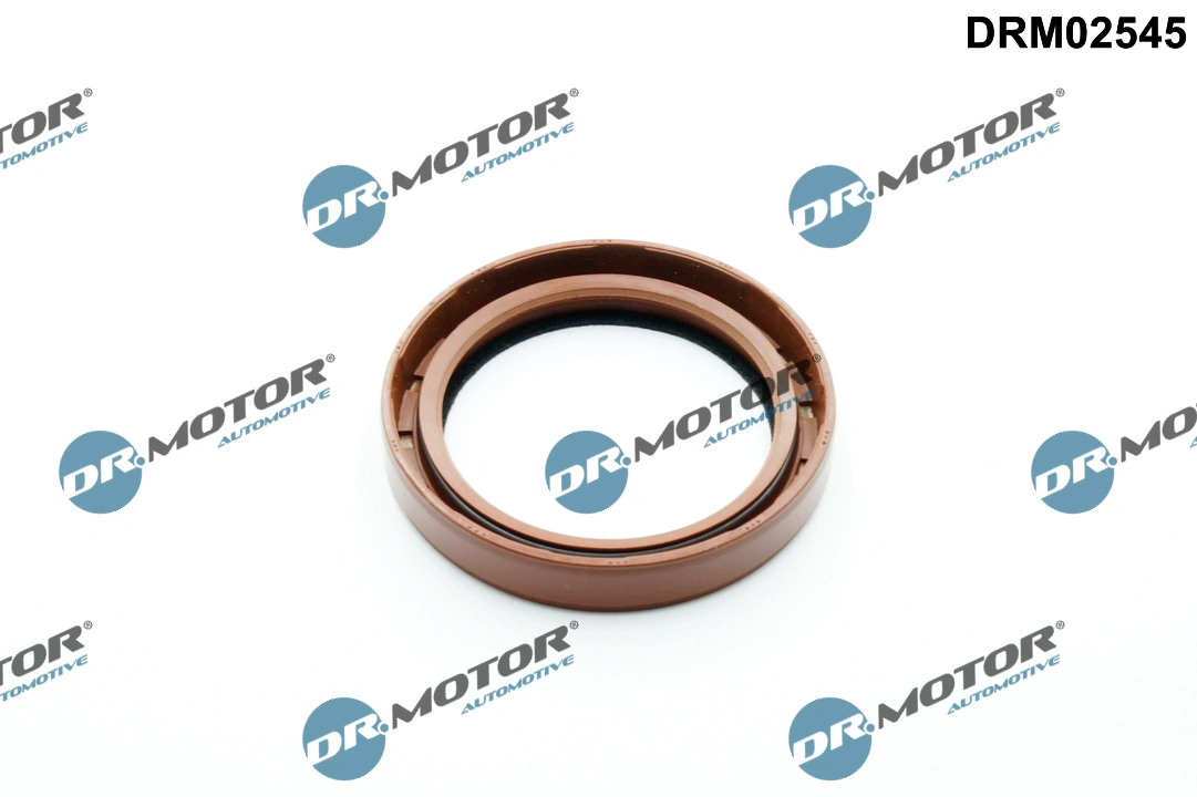 DR MOTOR DRM02545